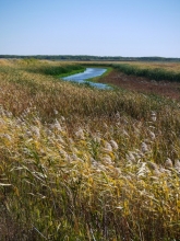 Oak Hammock Marsh
